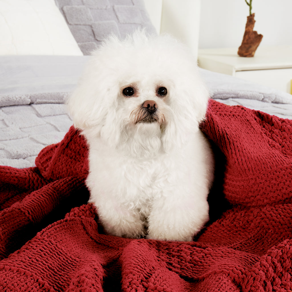 #color_christmas Red